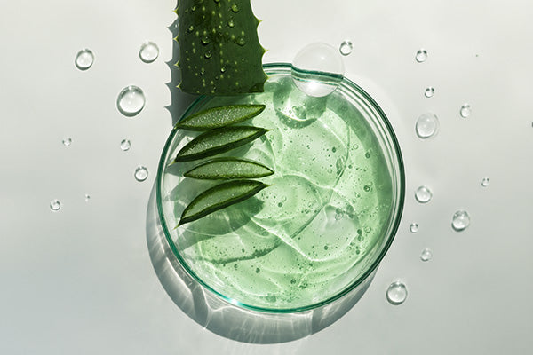 Aloe Vera Liposome Complex