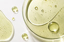 Ginkgo & Hops Antioxidant Complex